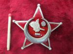 Орден «Галлиполийская звезда»