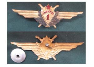 558.Военный летчик-снайпер. 1950 – 1961гг. ― Фалерист