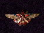 Членский знак Общества друзей воздушного флота. 1923 – 25гг. 